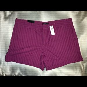 NWT Banana Republic Lace 4.5” Shorts